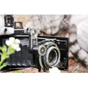 120 film